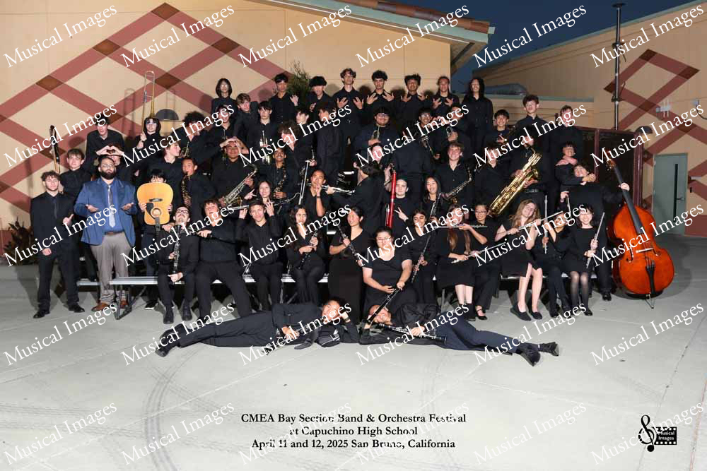 Musical Images